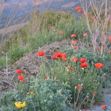 Cal Campana Bed & Breakfast Gratallops