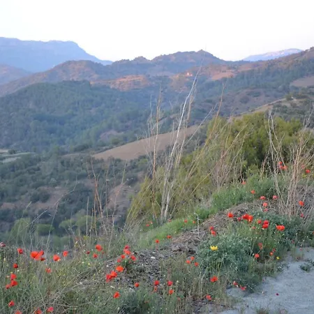 Cal Campana Bed & Breakfast